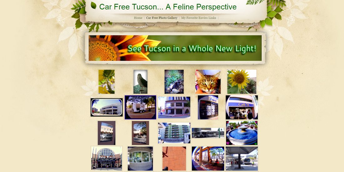 Car Free Tucson Website Design